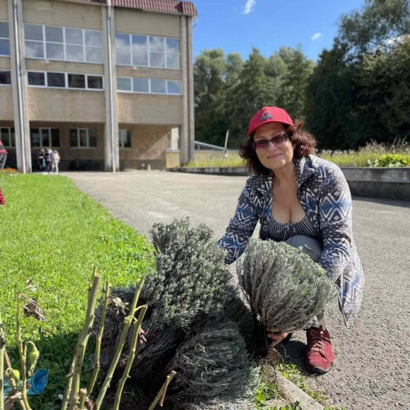 Сьогодні наші шкільні клумби збагатились новими барвами.