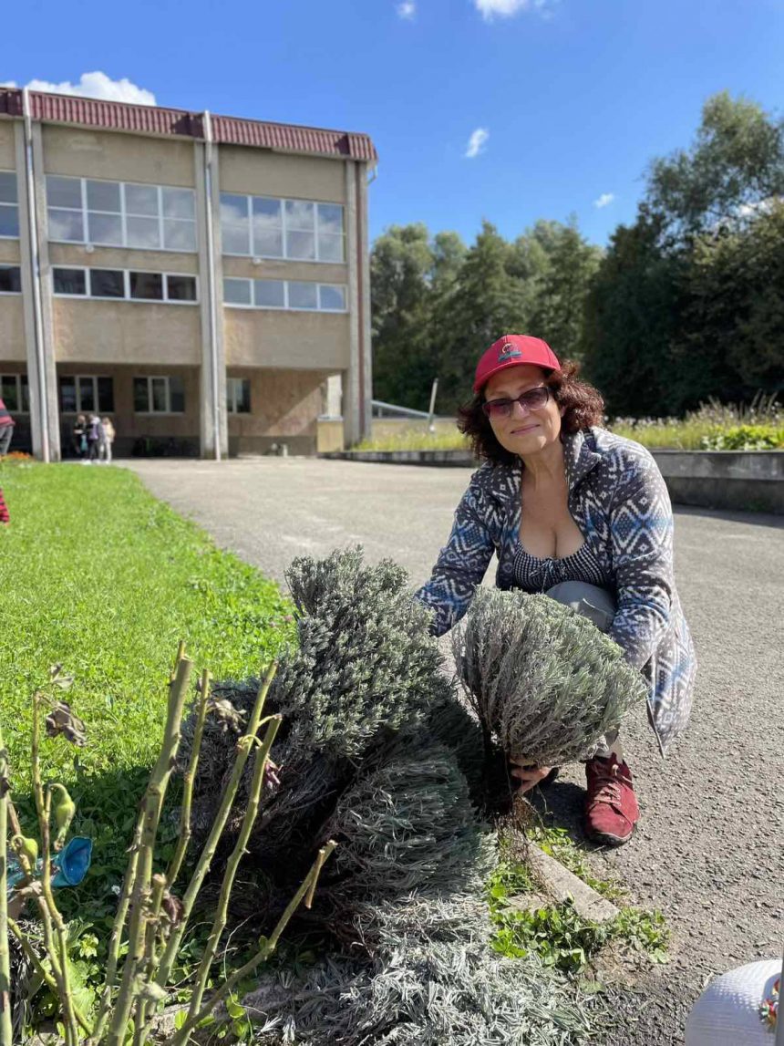 Сьогодні наші шкільні клумби збагатились новими барвами.