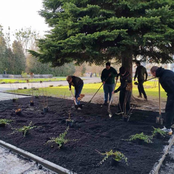 Озеленення шкільного подвір’я